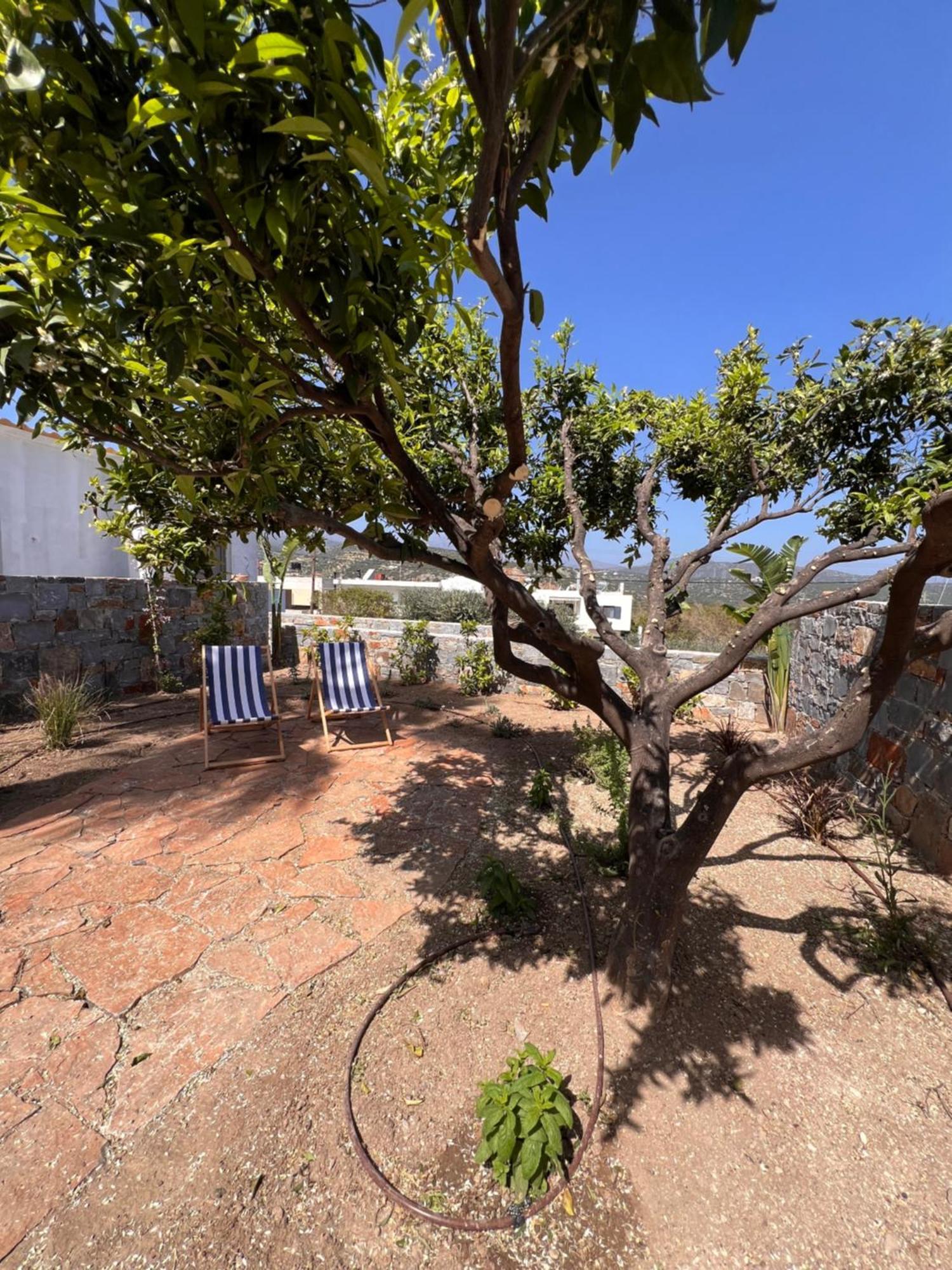 Gioma Garden Villas Istron Esterno foto