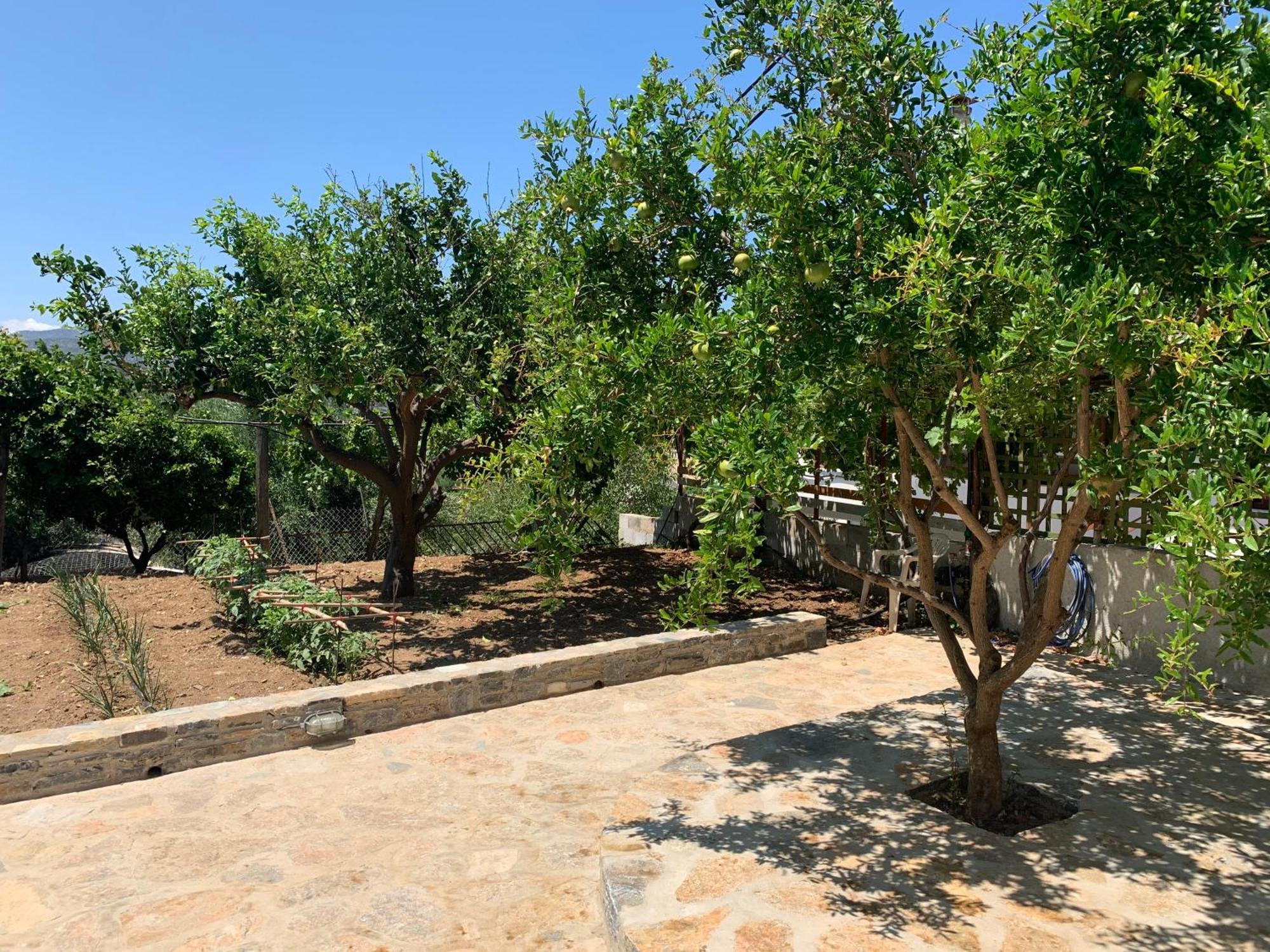 Gioma Garden Villas Istron Esterno foto