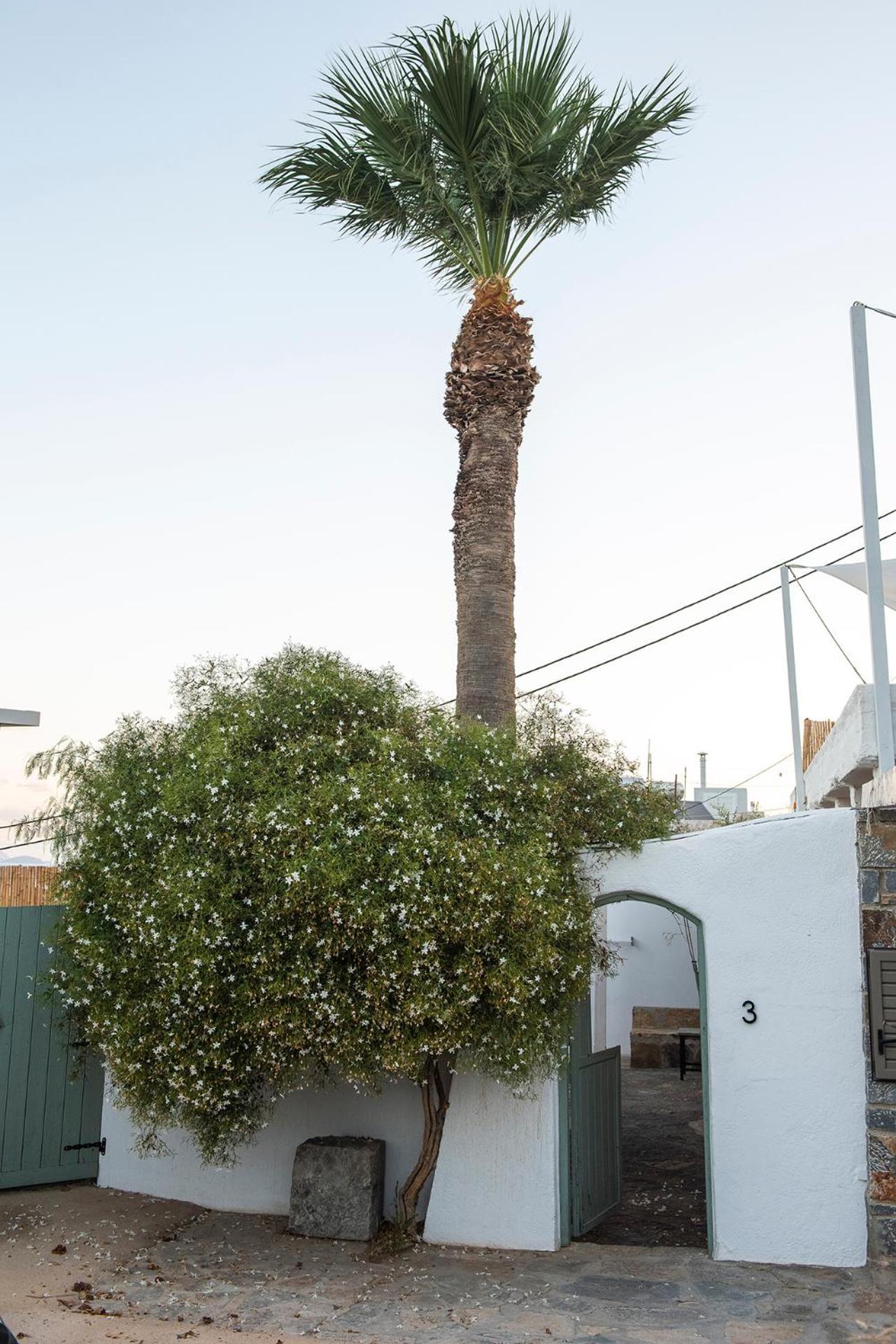 Gioma Garden Villas Istron Esterno foto